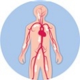 Bércový vřed tepenného původu (arteriální vřed)