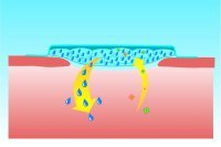 hydrosorb - fungování produktu 1