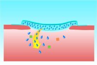 hydrosorb - fungování produktu 2