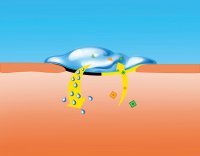 hydrosorb gell - fungování produktu