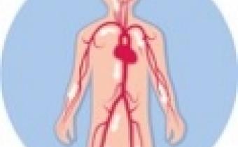 Bércový vřed tepenného původu (arteriální vřed)